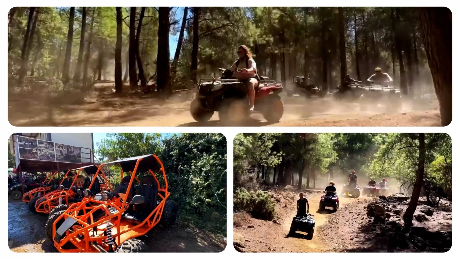 Quad-Safari